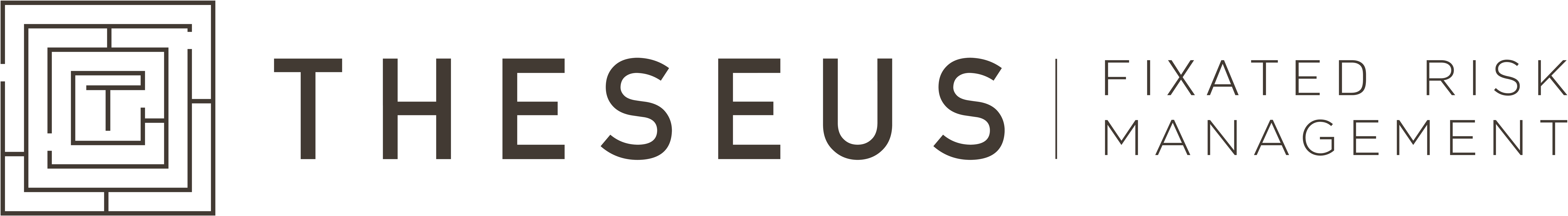 THESEUS_LOGO_DK_GREY-fixated-risk-management-ol